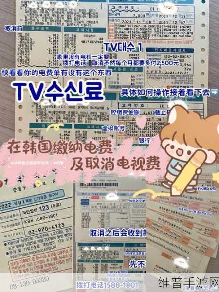 韩国三色电费大全优惠：1. 深入解析韩国三色电费优惠政策及适用范围