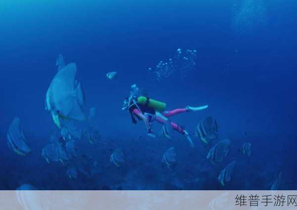 水下霸主，探索深海未知的精彩冒险之旅