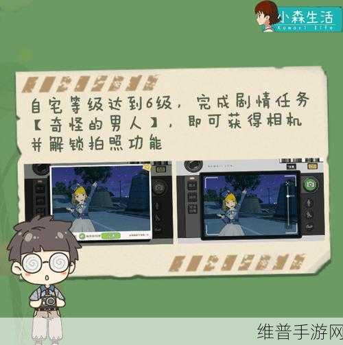 小森生活领养猫咪秘籍大公开
