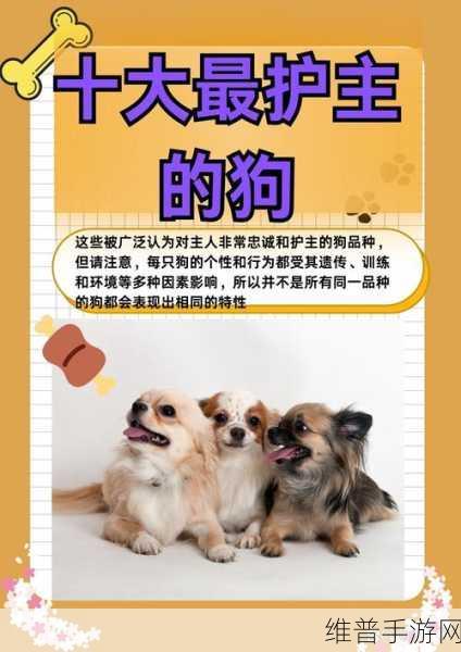 白丽珍我和我的狗老公：当然可以！以下是一些基于“白丽珍我和我的狗老公”的新标题建议：