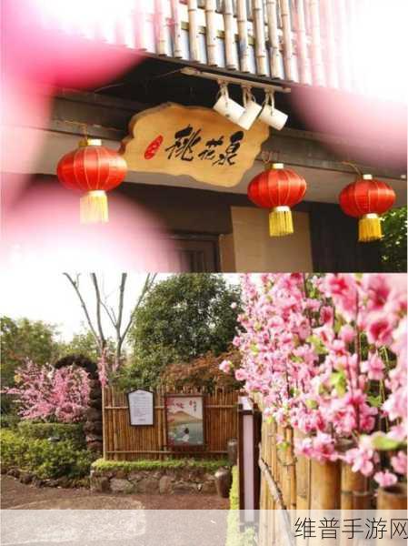 蜜桃5D：1. 蜜桃5D：开启全新沉浸式体验之旅