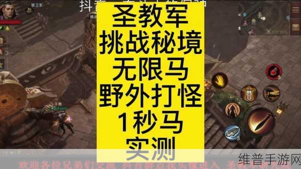 暗黑破坏神 3 中圣教军被称豆角的缘由及深度解析