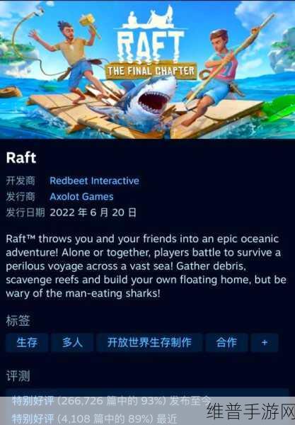 木筏探险海上生存版，灾难中的生存智慧与策略指南