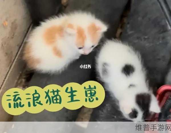 铲屎官的幸福时光,探索萌宠互动手机游戏新境界