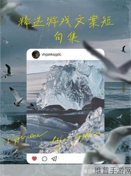 一卡二卡三：1. 一卡二卡三，畅游无限可能的世界