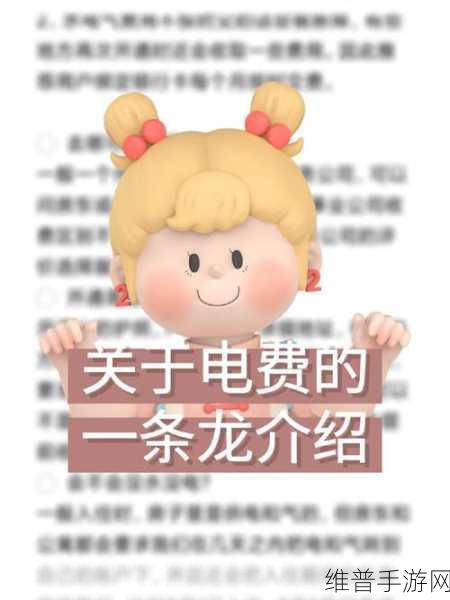 三色电费202：1. 三色电费的使用技巧与优化方案