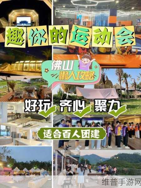 夏日燃情，竞技无界，夏季运动会安卓版下载全攻略