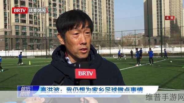 高洪波接受调查：高洪波接受调查引发足球界广泛关注与讨论