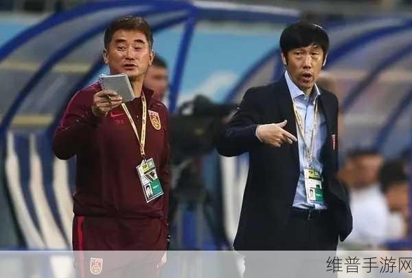 高洪波接受调查：高洪波接受调查引发足球界广泛关注与讨论
