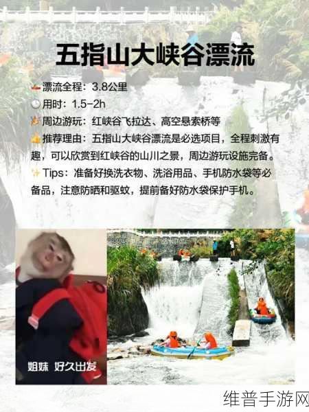 五指山百擞今日黑料:1. 五指山百擞今日黑料揭秘:真相与背后故事
