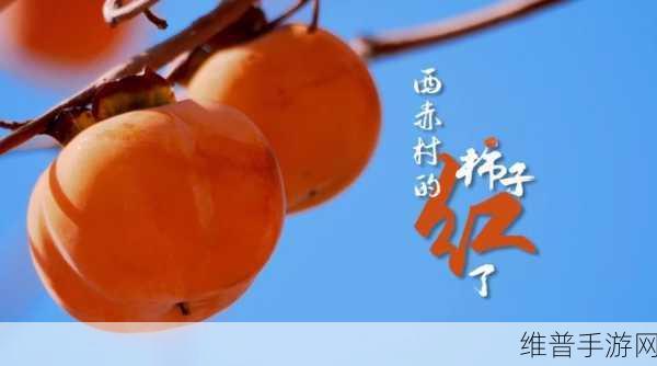 红性视频：当然可以！以下是一些红性视频主题的标题建议：