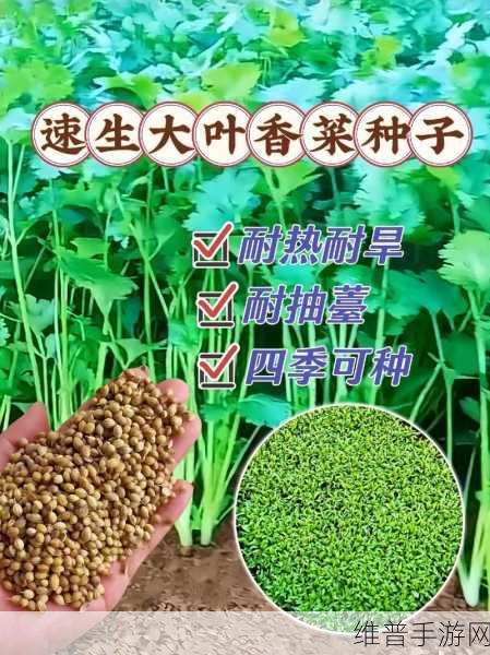 种子搜索:当然可以!请提供一个种子标题,我将根据它为您拓展出新的标题。