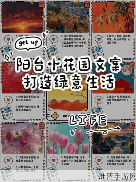 亲小花园 技巧：1. 小花园的秘密：打造完美自然角落