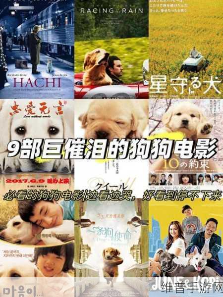 无法满足,电影：当然可以！以下是一些基于“无法满足”主题的电影新标题建议，每个都不少于10个字：