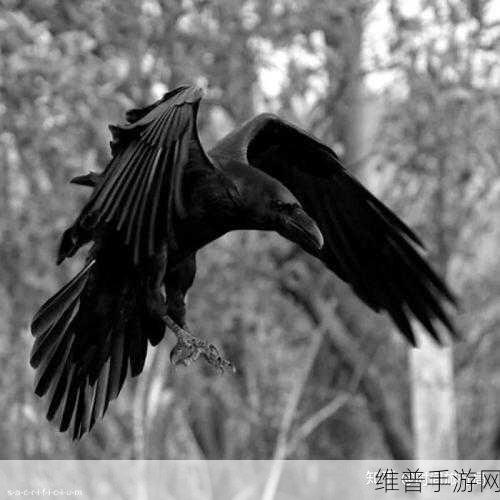 lol乌鸦大招：1. 乌鸦的终极咆哮：掌控战场的致命一击