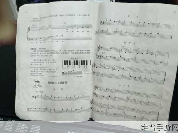 欧洲一曲二曲三曲视频下载：1. 欧洲神秘旋律：探索一曲二曲三曲的魅力