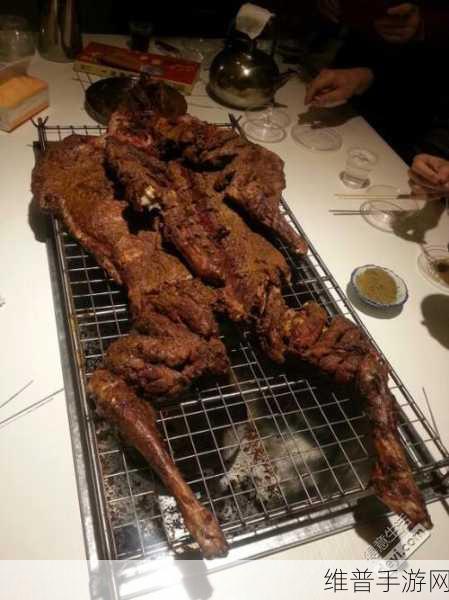 人肉大餐手机版,揭秘失踪夫妻背后的真相之旅