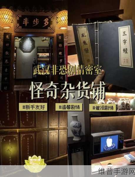 偷偷出去玩游戏下载,解锁休闲逃脱类游戏的乐趣与攻略