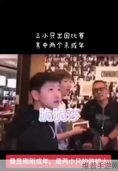 王楚钦舅舅是谁啊：关于王楚钦舅舅的身份与背景深度探讨