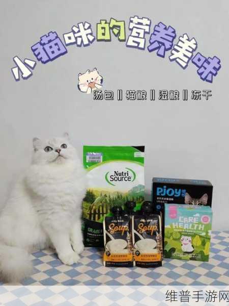动物胶配方大全高清猫片：1. 猫咪健康美味：动物胶配方全解析