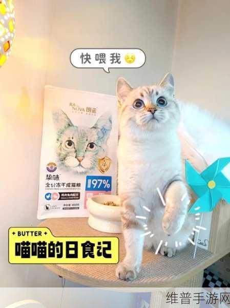 动物胶配方大全高清猫片:1. 猫咪健康美味:动物胶配方全解析