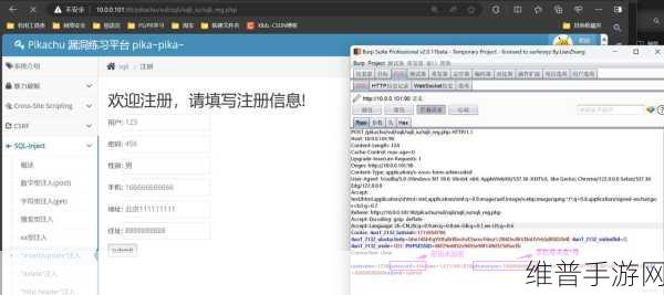 黑料破解网站:1. 破解黑料网站的秘密:如何安全获取信息?