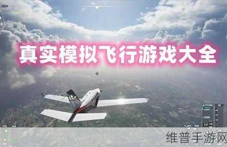 低峰飞行游戏下载，解锁飞行模拟游戏的极致体验