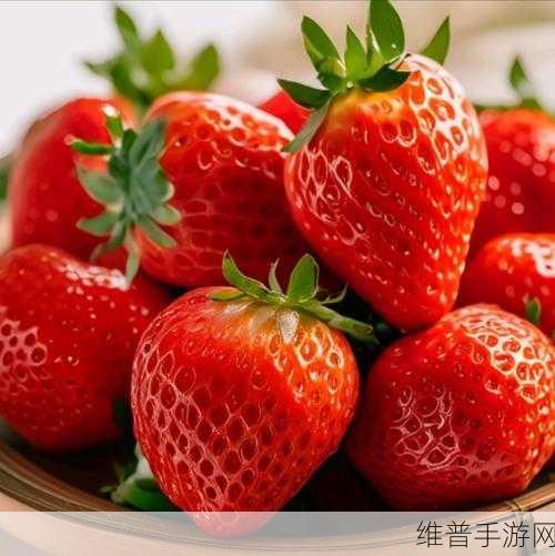 草莓视频在线看：当然可以！以下是一些与草莓视频相关的创意标题，均不少于10个字：