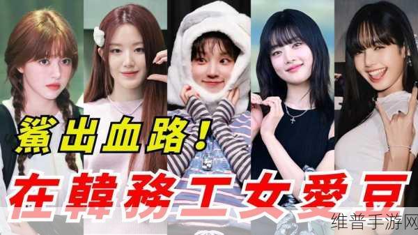 911爱豆：1. 《911爱豆：偶像背后的真实故事与成长历程