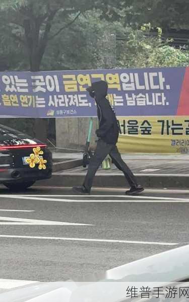 911爱豆:1. 《911爱豆:偶像背后的真实故事与成长历程