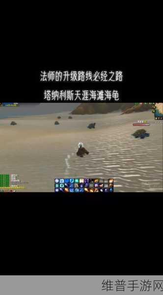 联盟法师去塔纳利斯：联盟法师在塔纳利斯的魔法探索与冒险