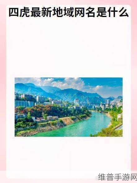 tom最新地域网名入口在哪儿:1. 探索Tom最新地域网名入口的使用技巧