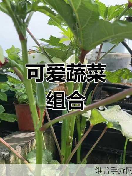 丝瓜草莓芭乐秋葵蕾丝榴莲：1. 丝瓜与草莓的奇妙结合，打造健康美食新体验