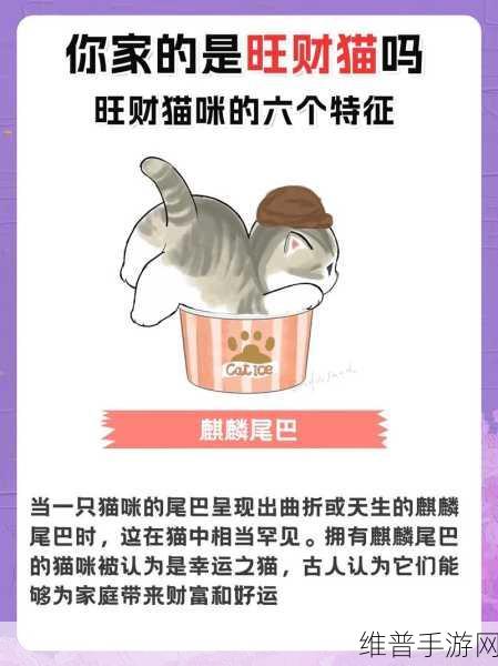 招财猫猫送红包，欢乐养猫体验的趣味小游戏全攻略