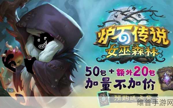 炉石传说女巫森林哨卫战全攻略指南