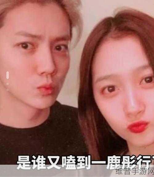 鹿晗关晓彤宣布分手了:1. 鹿晗关晓彤分手,娱乐圈又一对情侣解散