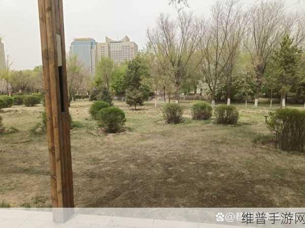 能精品一区,二区。：1. 探索能精品一区与二区的独特魅力