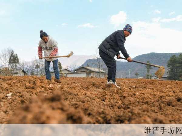 耕了母亲荒废土地：1. 续写母亲的土地情缘：重拾荒废之美