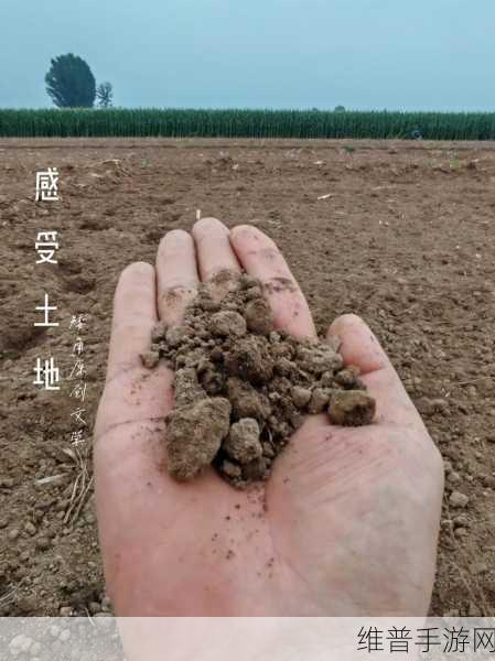 耕了母亲荒废土地:1. 续写母亲的土地情缘:重拾荒废之美