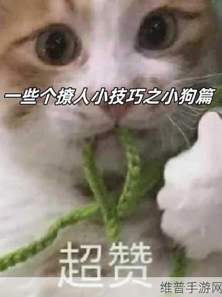 第一次给了狗：当然可以，以下是一些关于狗的扩展标题建议：