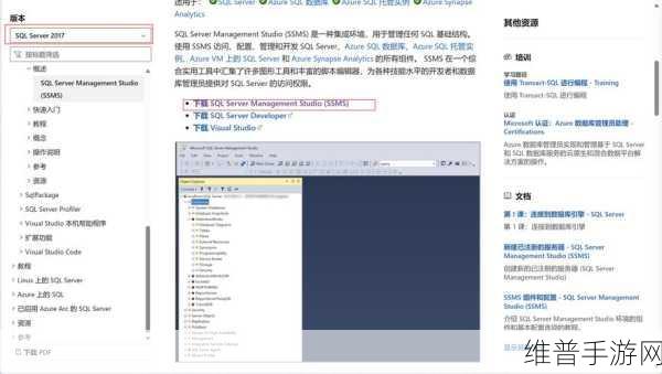高清vpswindows另类：1. 高清VPS Windows：提升你的网站性能与稳定性