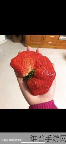 182草莓视频：1. 《草莓视频：探索未被发掘的奇幻世界