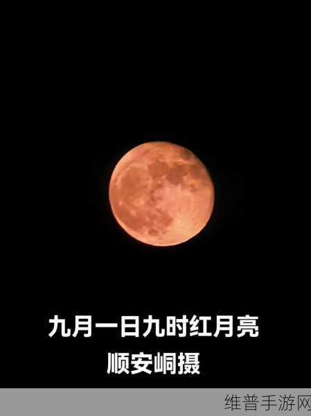 9.1免费版抖音:当然可以,以下是一些关于9.1免费版抖音的标题建议,每个都不少于10个字: