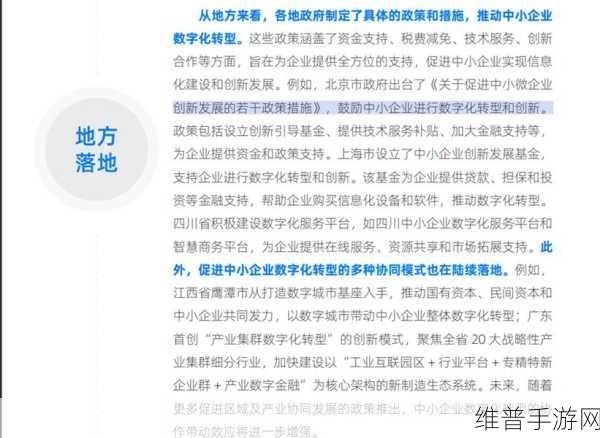 国产码一：1. 国产码的创新之路：未来数字化转型的新引擎