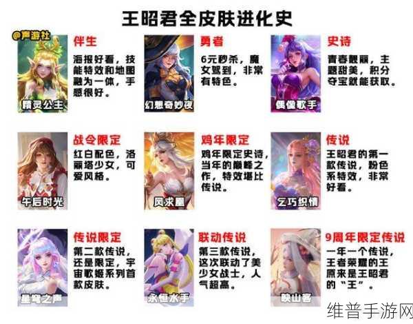 王者荣耀王昭君新皮肤价格全解析