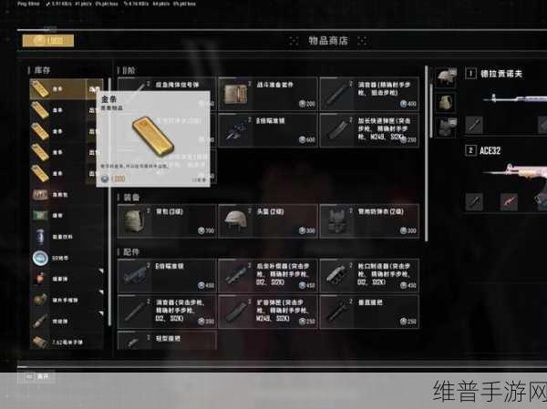 绝地求生，荣都鸟笼任务全解析指南