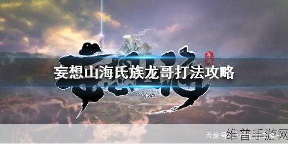 妄想山海，龙哥挑战符背后的惊天秘密大揭秘