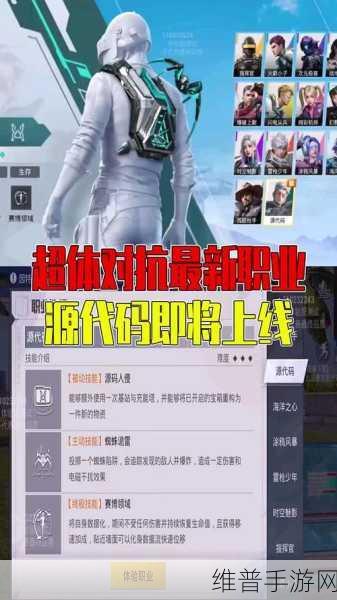探索和平精英代码的神秘世界