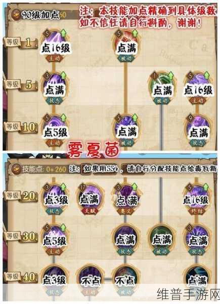 航海王燃烧意志，明哥加点全解析，制霸海域秘籍