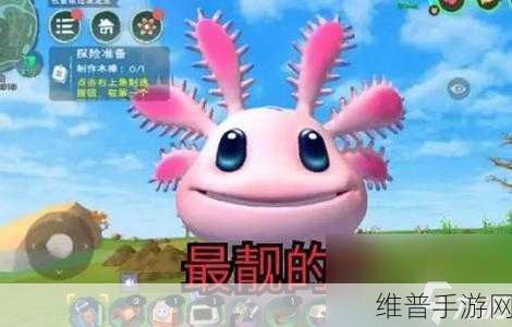 创造与魔法，顽皮蝾螈全攻略，轻松将其收入囊中